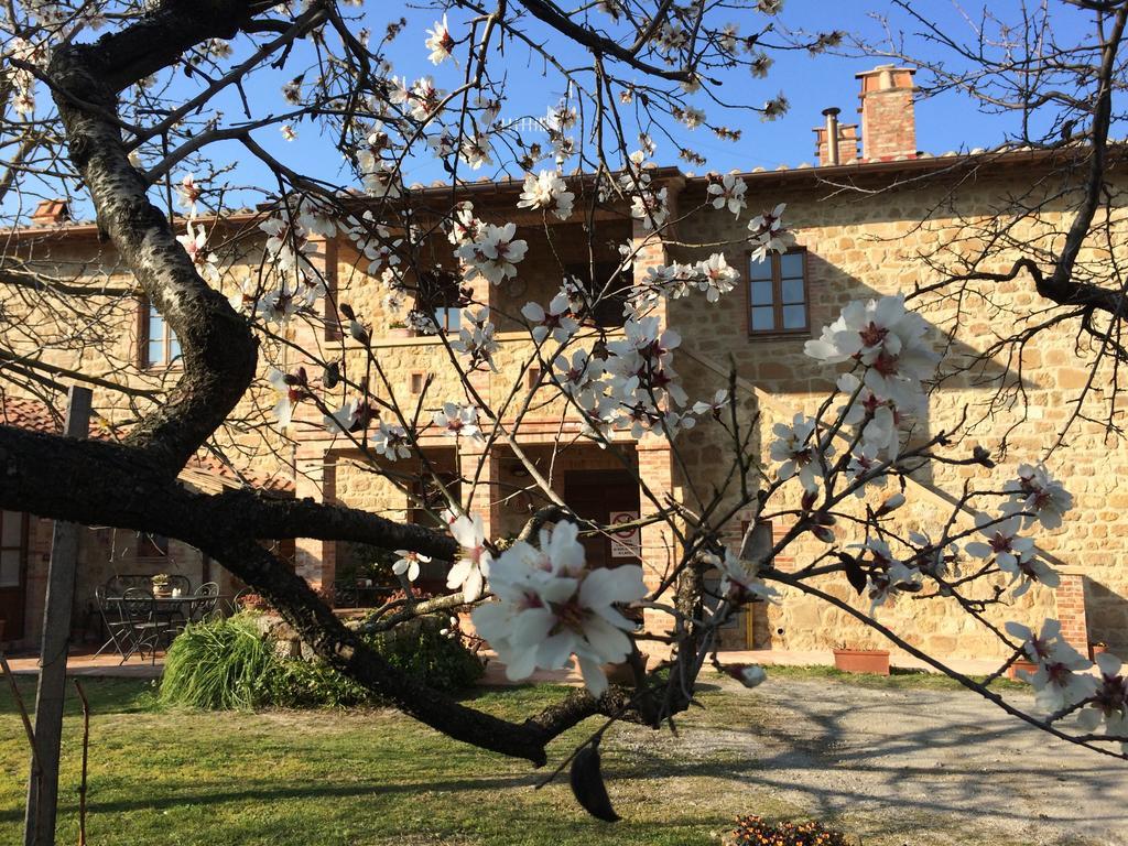 Agriturismo Podere San Gregorio Pienza Buitenkant foto